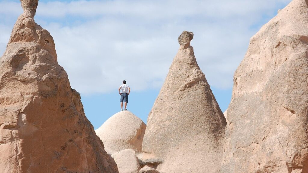 Télécharger le formulaire allocation personnalisée d'autonomie en PDF gratuit