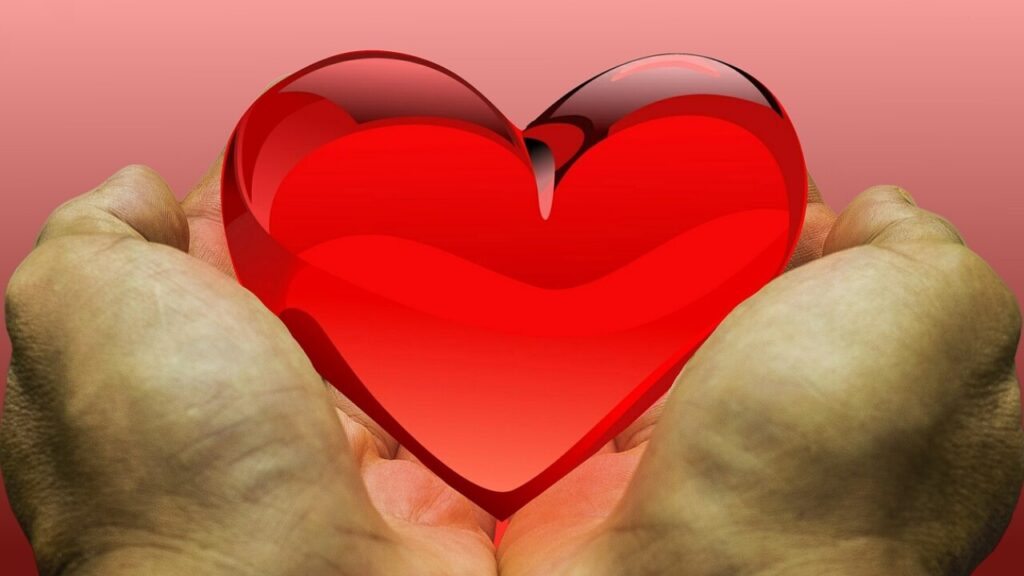 Télécharger le don sarkozy formulaire en PDF gratuit