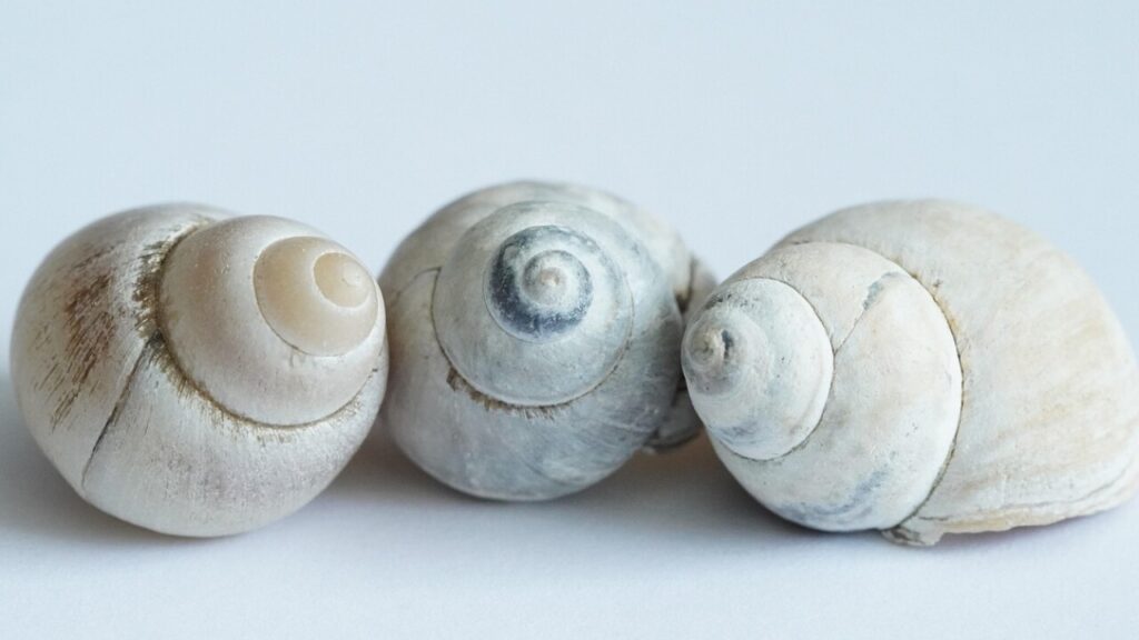 Télécharger le formulaire ds160 en PDF gratuit