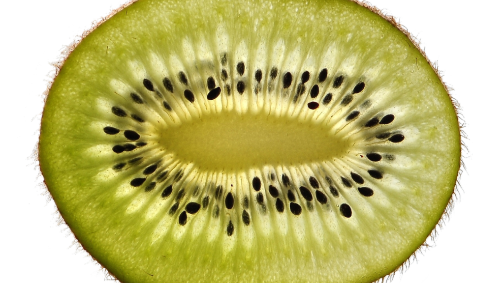 2042 volet social formulaire à télécharger en PDF gratuit