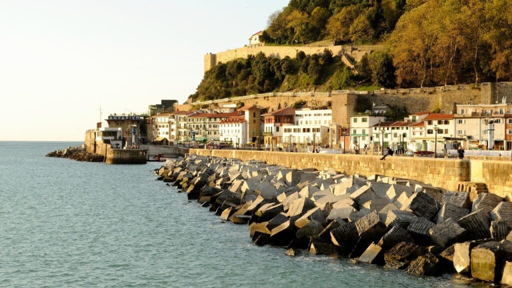 Formulaire ZFE San Sebastián à télécharger en PDF gratuit